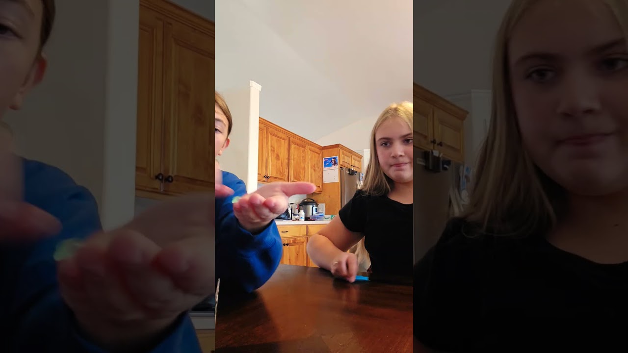 resin animals with macy #youtubeshorts #animals #resin #toys #unboxing