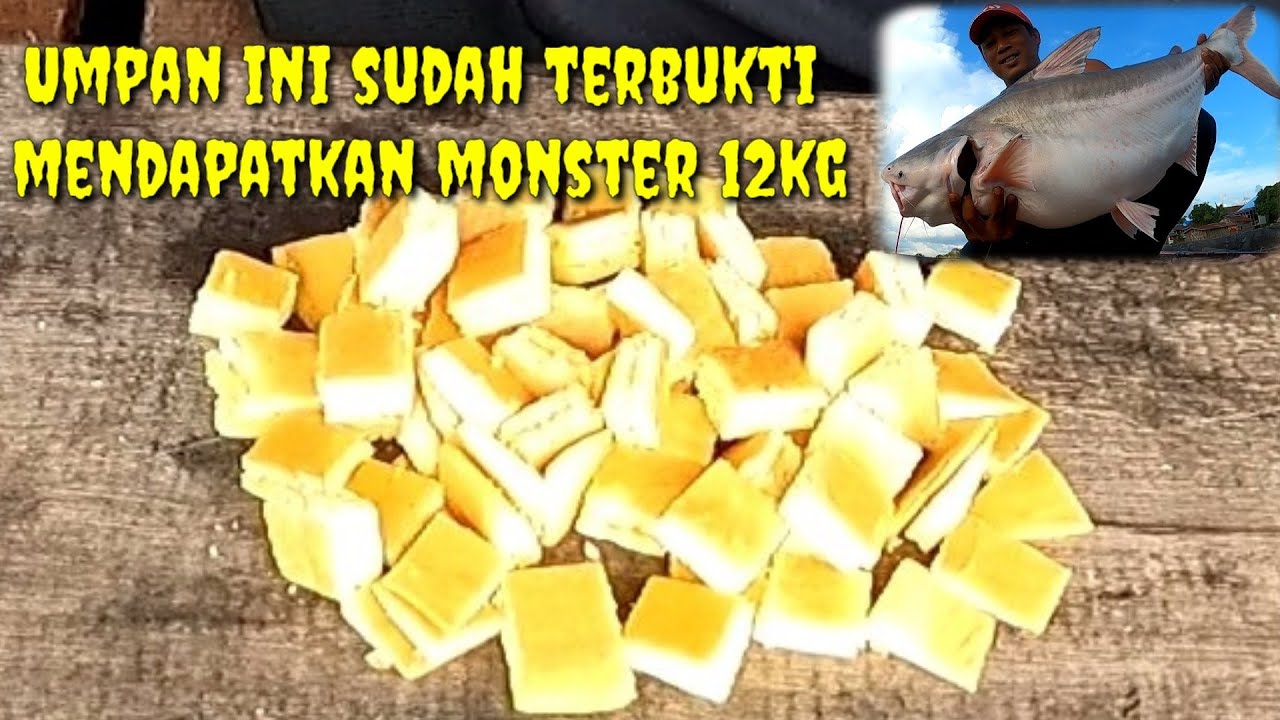 Cara Meracik Umpan Jitu Mancing Di Sungai - Cuma Modal 1000