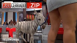 Sexo Cebra, Caso Cerrado.ZIP | Caso Cerrado | Telemundo Sexo Cebra, Caso Cerrado.ZIP | Caso Cerrado | Telemundo