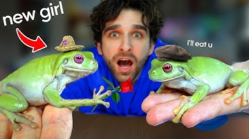 I Gave My Frog a GIRLFRIEND... (IT WAS BAD)