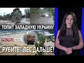 Кто ответит? Наводнение и эвакуация на Западной Украине! Красный уровень опасности!