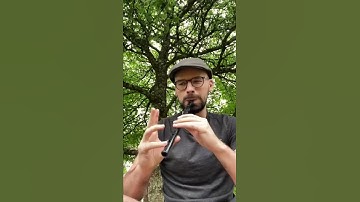 Thumbnail of My best solo on tin whistle  #shipsaresailing #musiqueirlandaise #musiqueceltique #fluteirlandaise