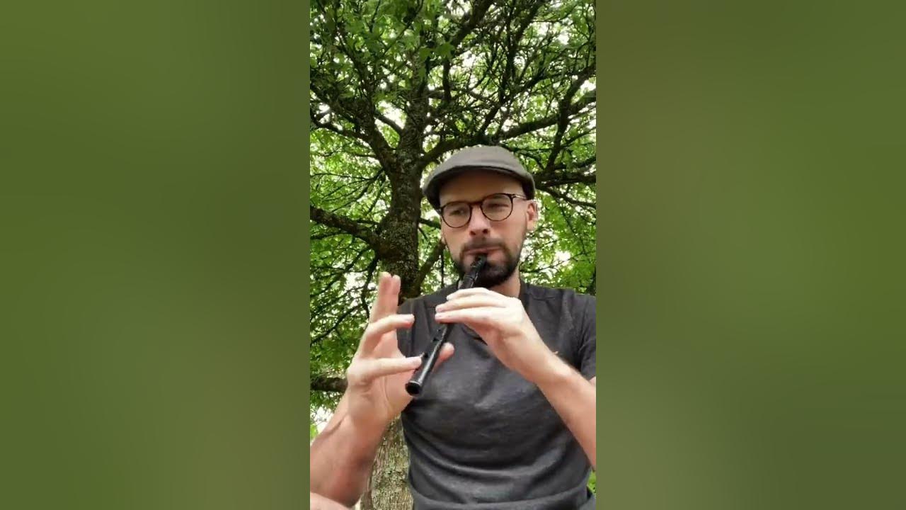 My best solo on tin whistle  #shipsaresailing #musiqueirlandaise #musiqueceltique #fluteirlandaise
