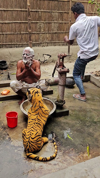Hilarious Fake Tiger Sighting Prank – Watch Their Reactions!
