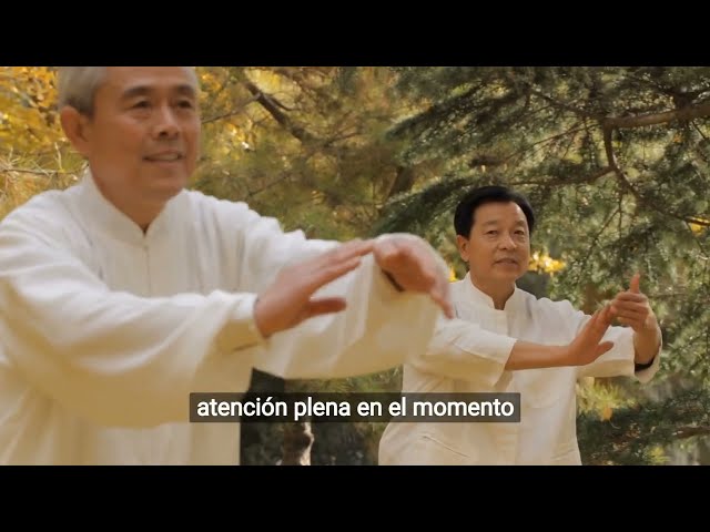 Qué es el Tai Chi Kung o Tai  Chi Qi Gong