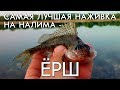 САМАЯ ЛУЧШАЯ НАЖИВКА НА НАЛИМА - ЕРШ / РЫБАЛКА ЗАКИДУШКОЙ, УДОЧКОЙ И ДОНКОЙ