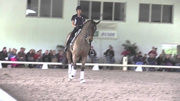 Ayden Uhlir Mastering the Center Line Canter Pirouette with Johann Hinnemann