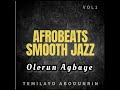 Temilayo Abodunrin - Olorun Agbaye