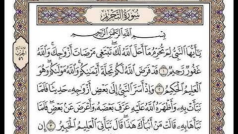 أجمل قراءة قراءن سورة التحريم للشيخ وديع اليمني