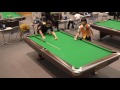2016 All Japan Championship: Chen Siming vs Hiraguchi Yuki