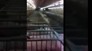 Позакрывали пиздаки