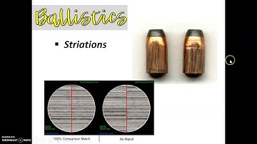 Introduction to Firearms and Ballistics