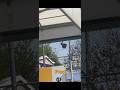 Atlas AP15TUC Horn Speakers in Lowe’s Garden Center [Page]