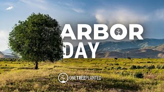 Arbor Day 2024 | One Tree Planted