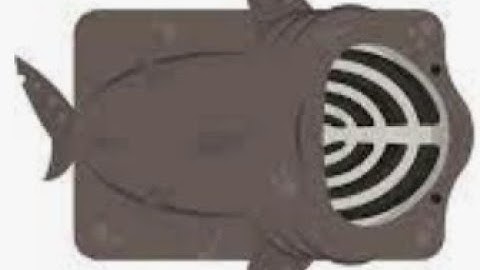 Deeeep.io Basking shark vs Shark and Sawfish 1v1