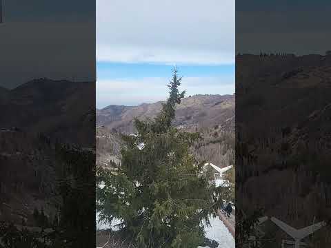 я не знала что снять 