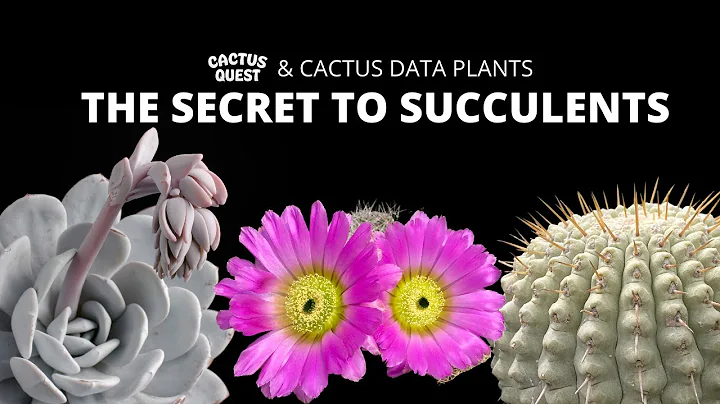 The Secret To #Succulents: Crassulacean Acid Metab...