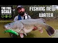 Fishing new water for murray cod  the full scale