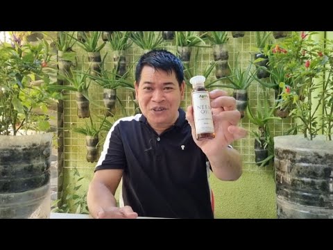 Video: Mga Paggamit ng Neem Oil: Paggamit ng Neem Oil Insecticide Sa Hardin