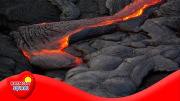 Thermal Energy, Heat and Temperature - More Grades 9-12 Science on the Learning Videos Channel