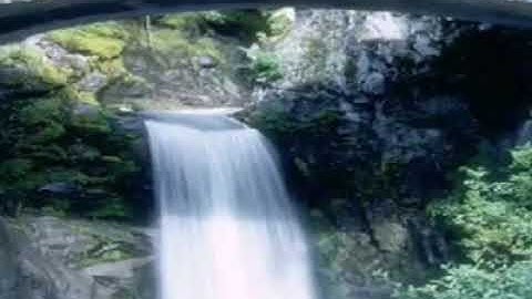 تلاوه رائعه { يوم تبيض وجوه وتسود وجوه } 😓