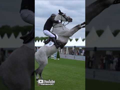Trouble 👀 #shorts #trending #viral #fail #horse #sports #equestrian #fall