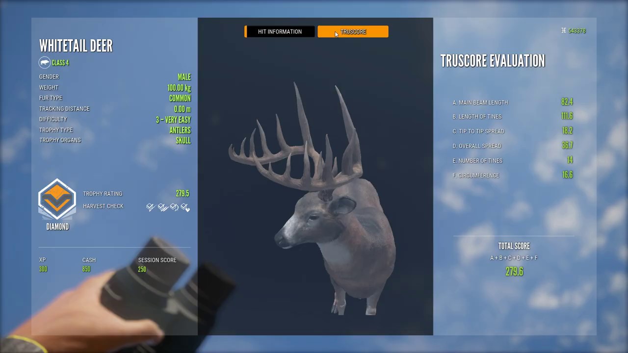 Giant 100 kg Whitetail! theHunter Call Of The Wild YouTube
