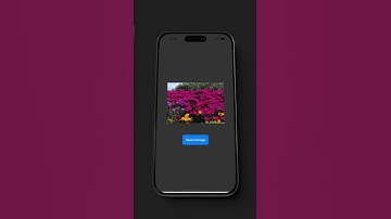SwiftUI Image Picker Select and Display Photos in Your App IOS 14+ #shorts