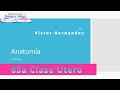 76) Tema: Aparato Reproductor Femenino Quistes Ováricos, Cáncer de Utero. Diplomado de Anatomia Hum.