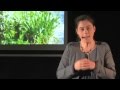 Pourquoi je suis redevenue paysanne: Perrine Hervé-Gruyer at TEDxRepubliqueSquare