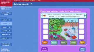 EDUC 331 Lesson Plan