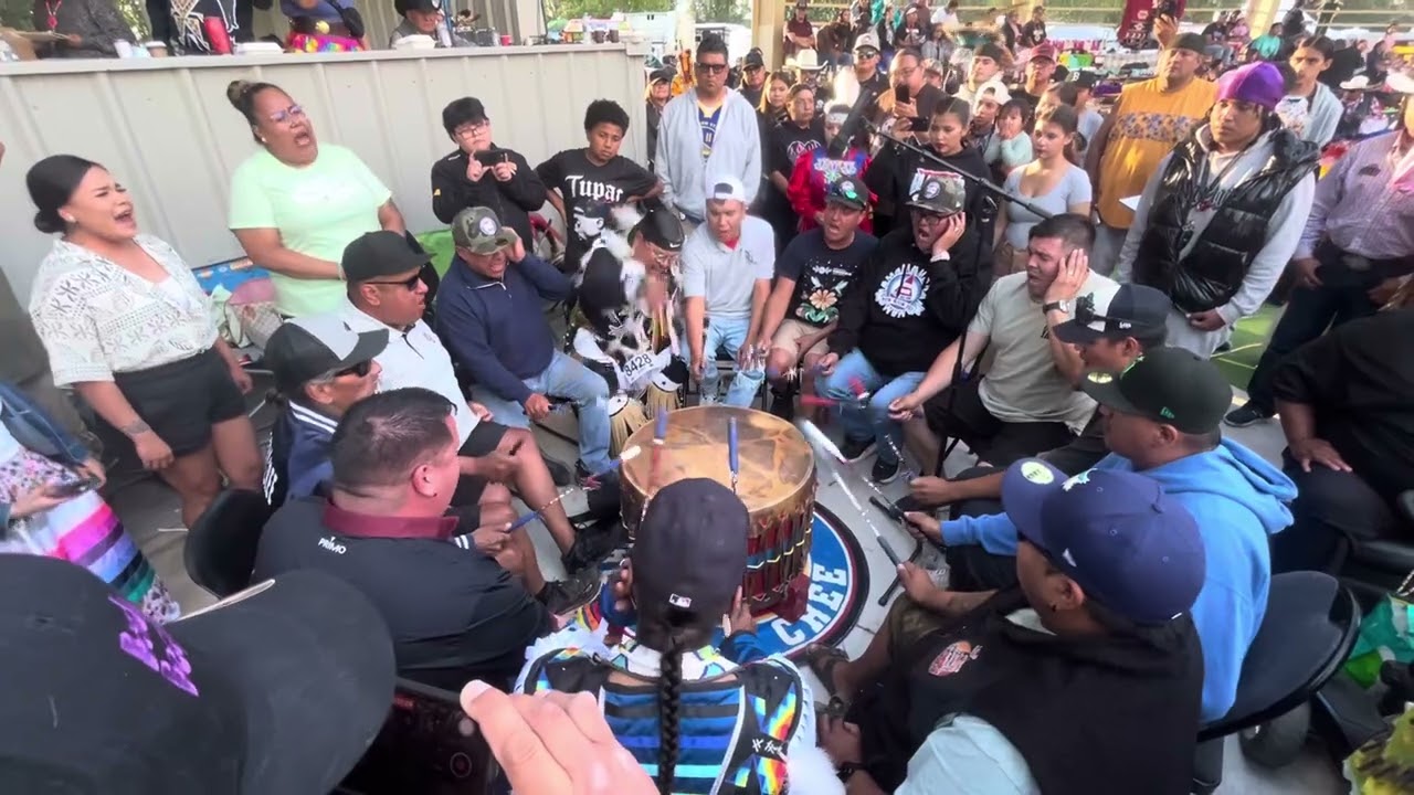 Northern Cree - Kainai 2025 - Saturday Night Live! 🎶