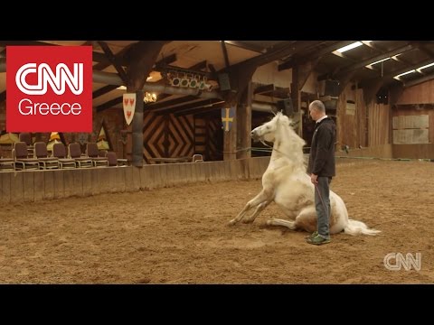 Βίντεο: Χρειάζονται παπούτσια τα άλογα dressage;