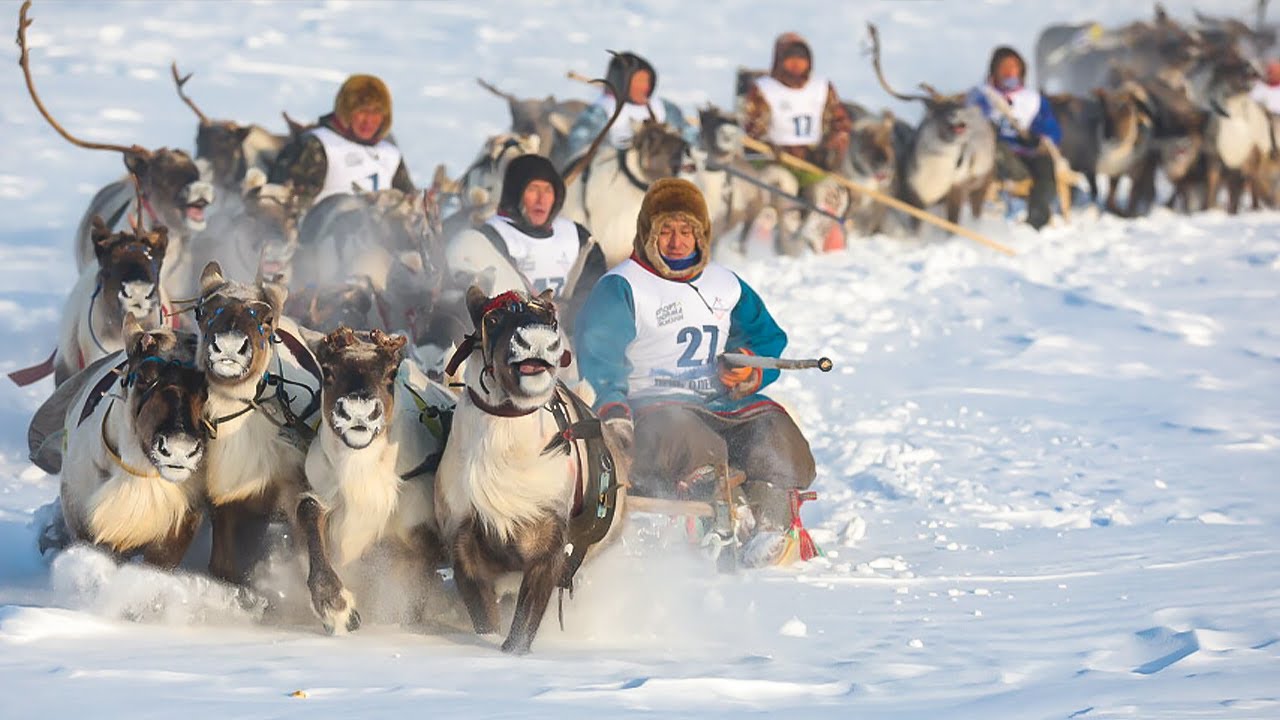 Этнодискотека и гонки на оленьих упряжках: Якутия масштабно отмечает День оленевода