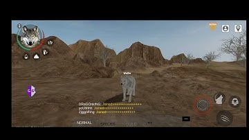 How to have fire paws and color name in Wolf Online 2!