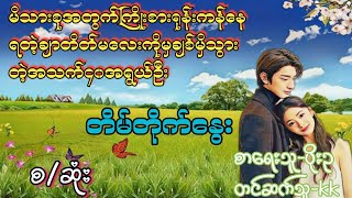 တိမ်တိုက်နွေး#Zin Audio#novel #အချစ် #အရို #ရသ #အိမ်ထောင်ရေးဇာတ်လမ်း