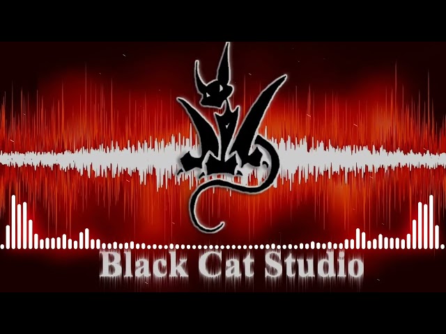 රූ චායා song Black cat studio 🐈‍⬛ class=