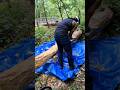 Chopping Mulch for our garden in the woods Pt5  #yeshuainthewoods #gardening #garden #mulching #diy