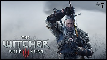 Witcher 3: Wild Hunt Complete Edition - Part 7 (A Frying Pan, Spick and Span) Walkthrough