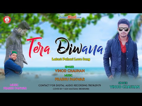 Latest Pahari Song - Tera Diwana By Vinod Chauhan | Prabhu Panwar | Pahari Records