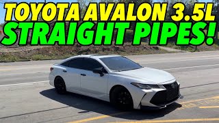 2019 Toyota Avalon 3.5L V6 w/ STRAIGHT PIPES! by Exhaust Addicts 3,866 views 2 weeks ago 3 minutes, 58 seconds