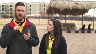 Thank You! | Dog Training Tulsa | Tip Top K9 | 918-991-8634