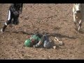 Utah High School Bullriding, Nephi, Utah April 28, 2012