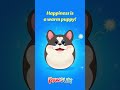 Happiness is a warm puppy🐶🥰🎁 | #PAWSUM #pets #cute #illustration #quote  #funny #dog