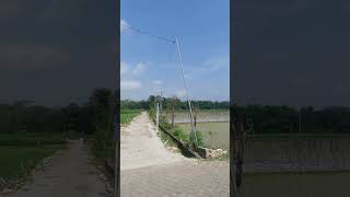 Download Lagu Wisata Tengah sawah salamrejo MP3