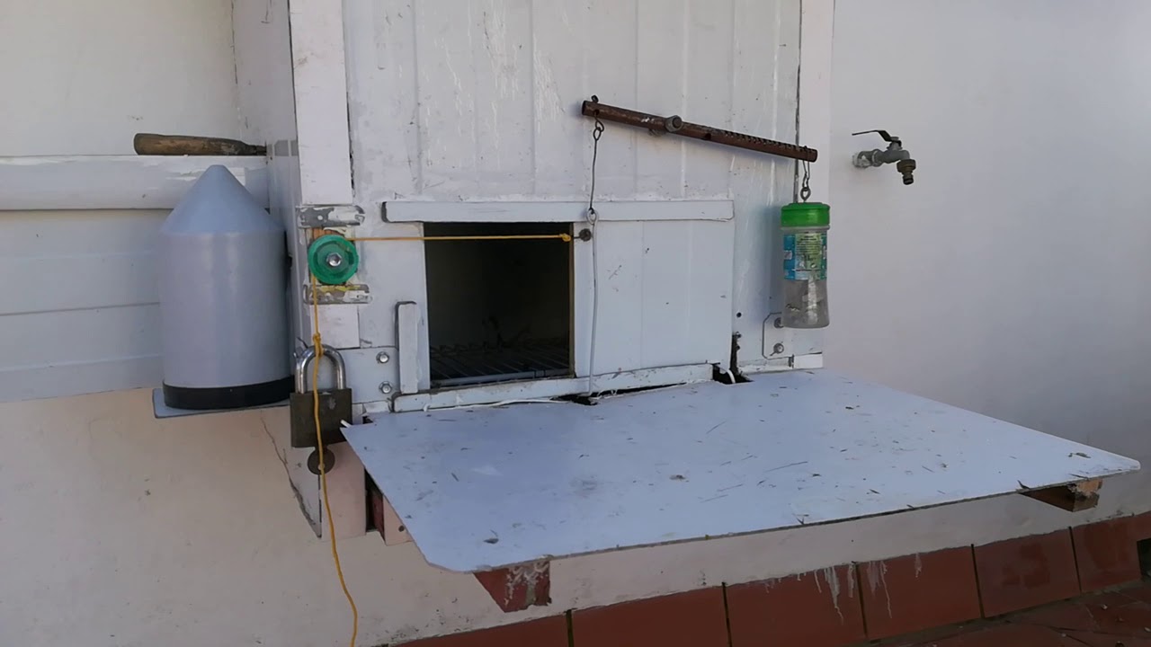 VENTAJAS E INCONVENIENTES DE LOS CAJONES PARA PALOMAS YouTube