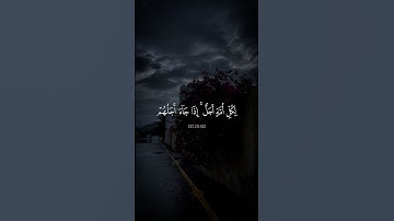 قل لا املك لنفسي ضراً ولا نفعاً الا ما شاء الله // القارئ عبدالرحمن مسعد راحه لقلبك 😴❤