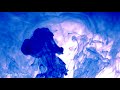 Fake love x BTS x Hung Le Remix