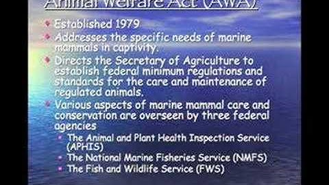 Using PowerPoint (or not) Part 2