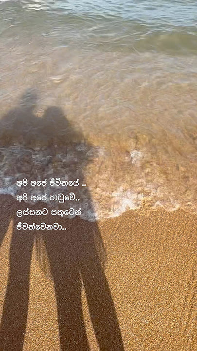 අපි අපේ පාඩුවේ.🥰#travelvlog #traveling #beachvibes #beachday #travelvlog #travelgram